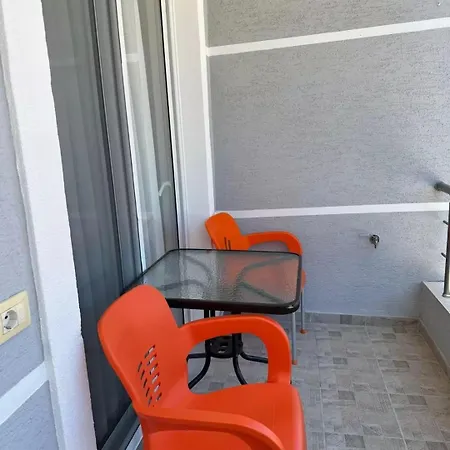 Zisi